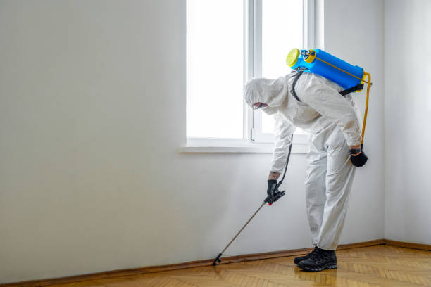 Best Commercial Pest Control Services  in Melville, RI